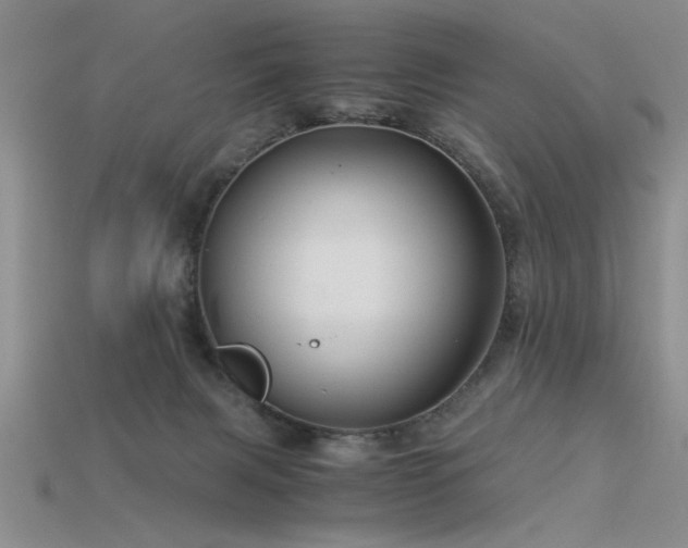 X0000115820079200911131453