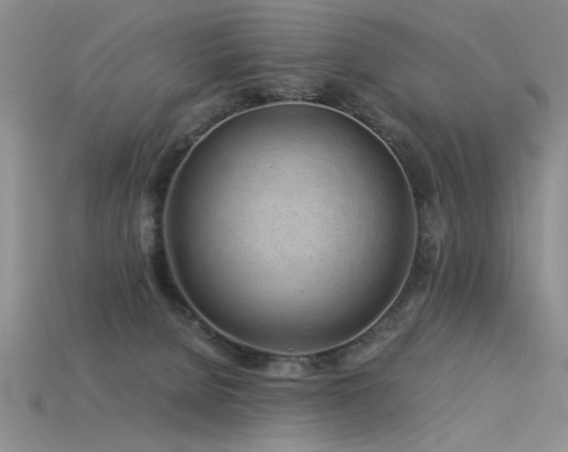 X0000115820080200911131453