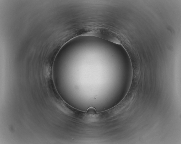 X0000115820081200911131453