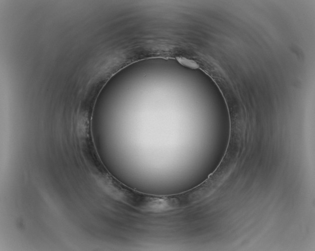 X0000115820083200911131453