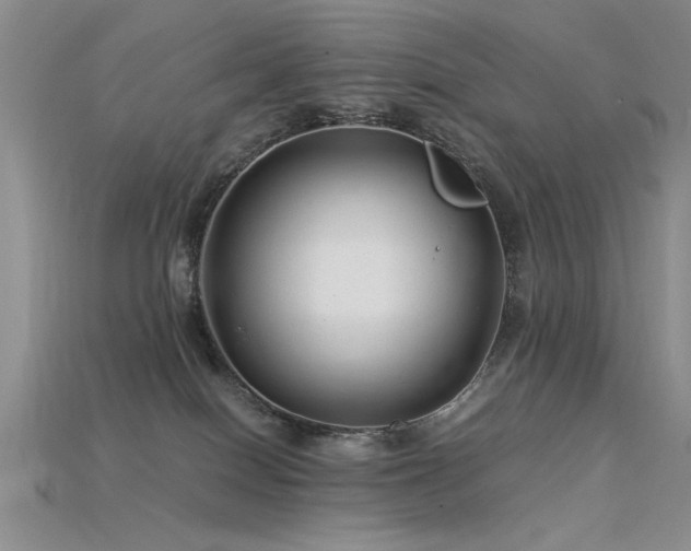 X0000115820086200911131453