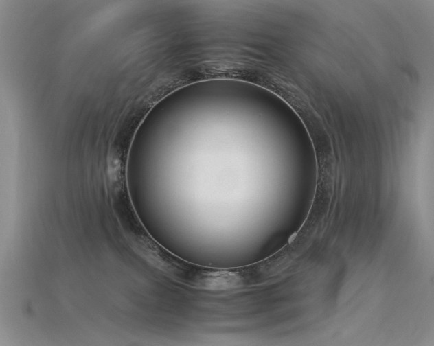 X0000115820087200911131453