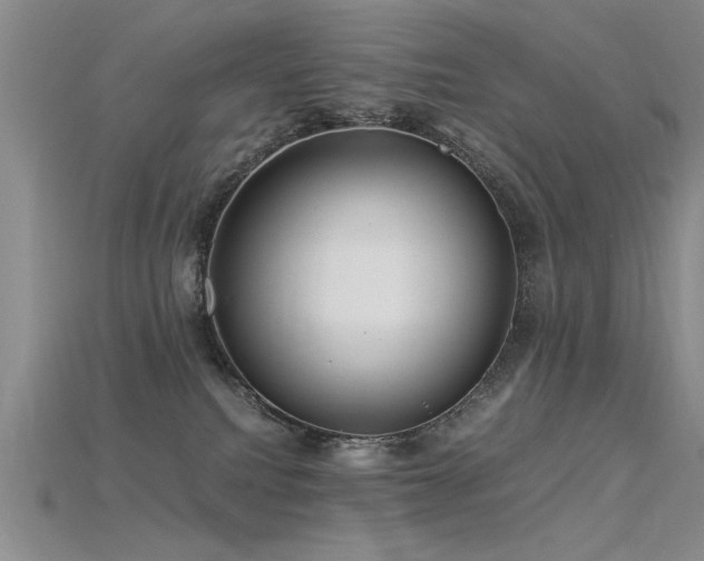 X0000115820088200911131453