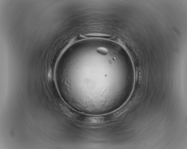 X0000115820089200911131453