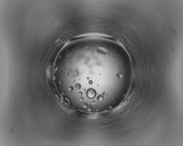 X0000115820090200911131453