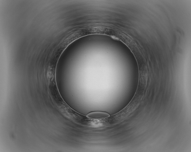 X0000115820091200911131453