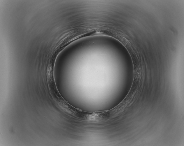 X0000115820092200911131453