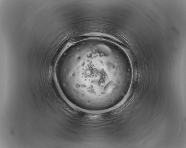 X0000115820093200911131453