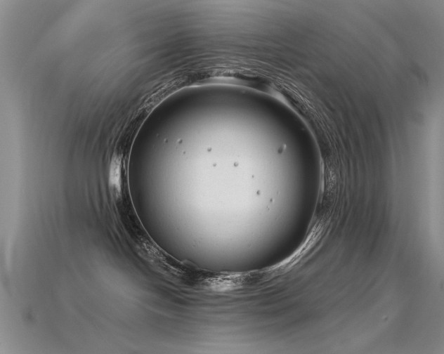 X0000115820094200911131453