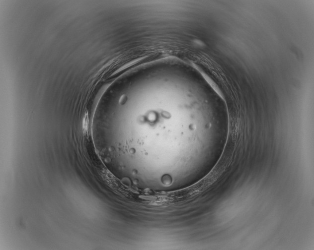 X0000115820095200911131453