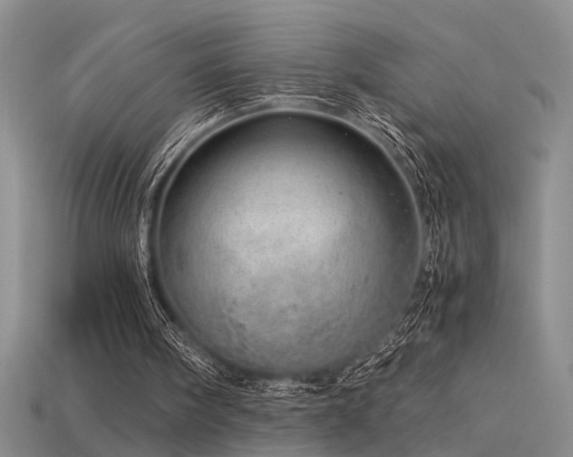 X0000115820098200911131452