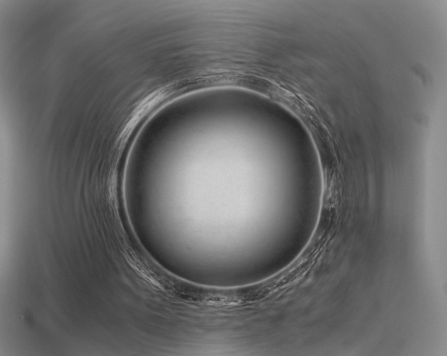 X0000115820099200911131452