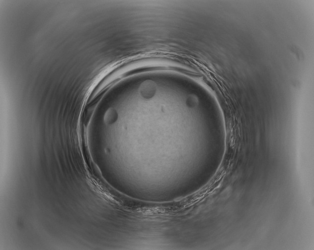 X0000115820100200911131452