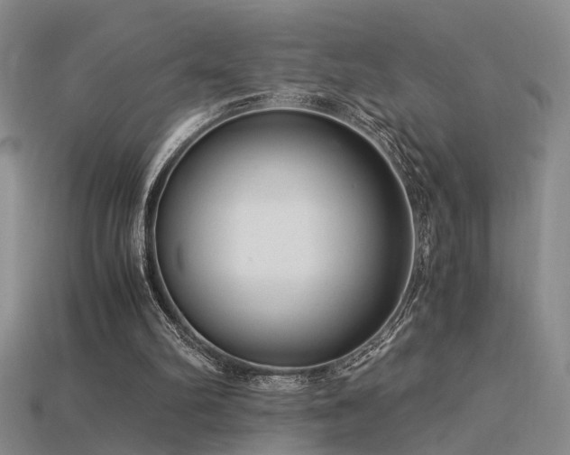 X0000115820102200911131452