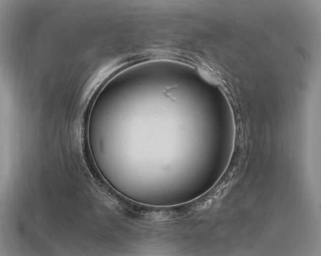 X0000115820103200911131452