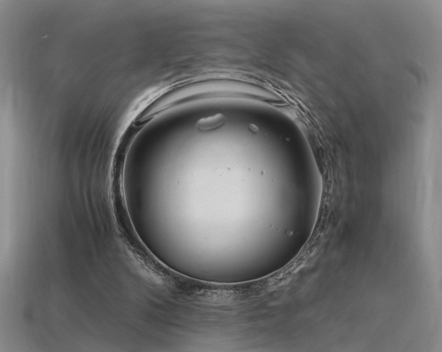 X0000115820104200911131452