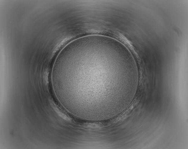 X0000115820106200911131452