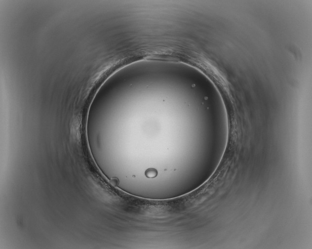 X0000115820107200911131452