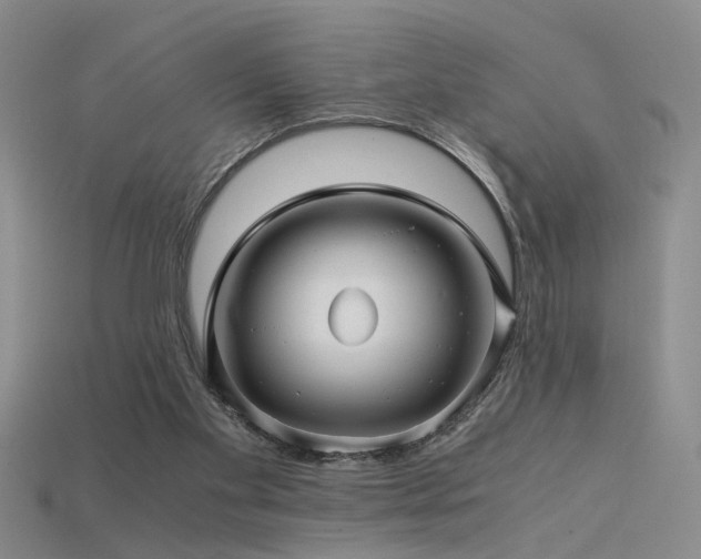 X0000115820109200911131452