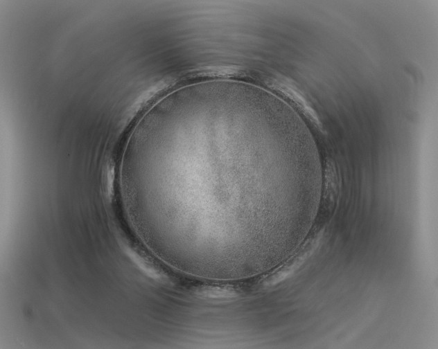 X0000115820110200911131452