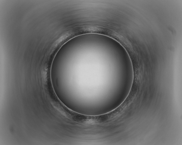 X0000115820111200911131452