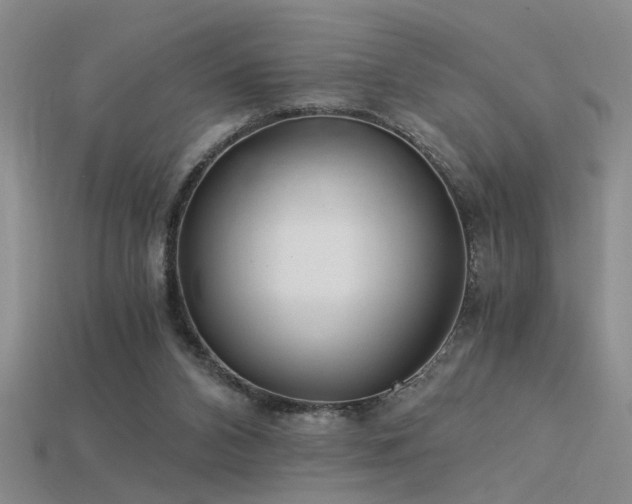 X0000115820112200911131452