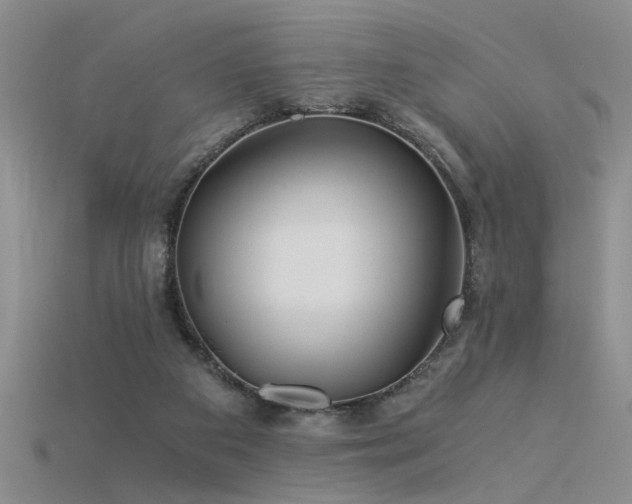 X0000115820113200911131452