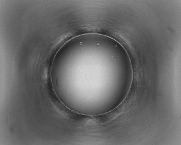 X0000115820115200911131452