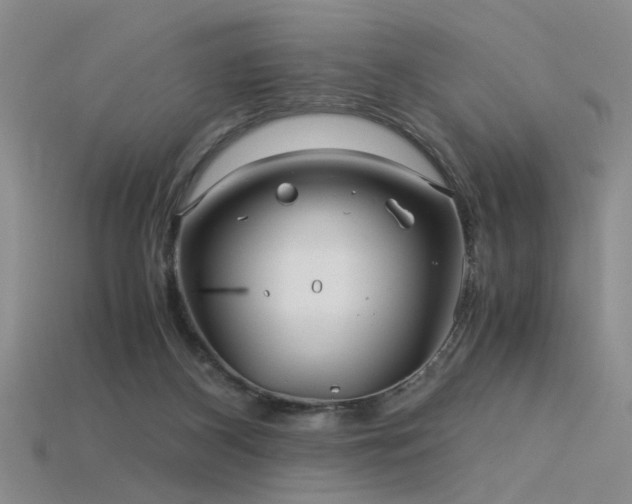 X0000115820116200911131452