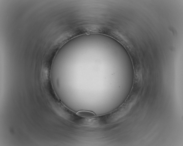 X0000115820117200911131452