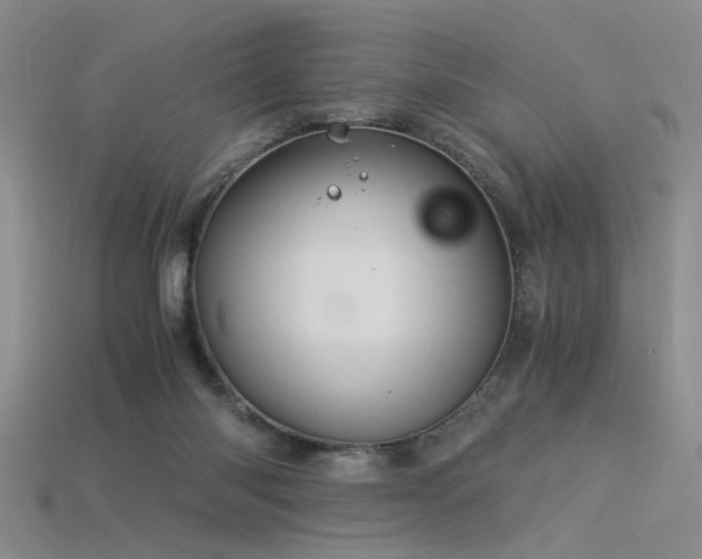 X0000115820118200911131452