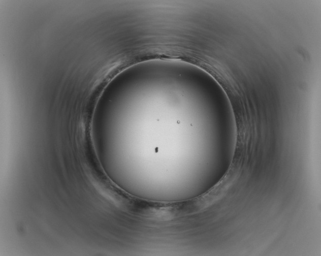 X0000115820120200911131452