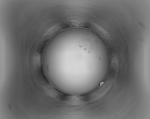 X0000115820121200911131452