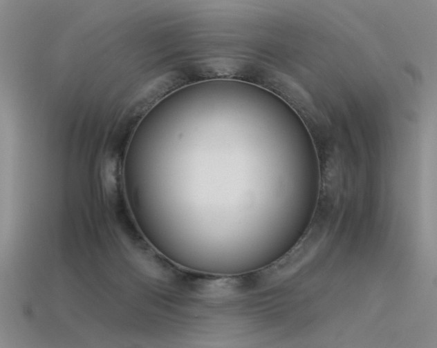 X0000115820122200911131452