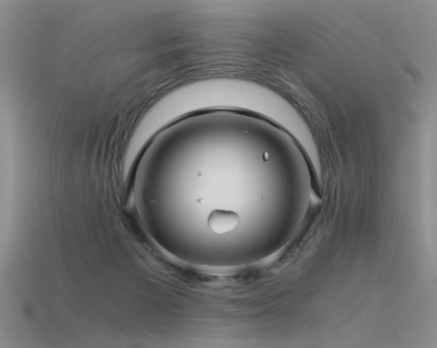 X0000115820125200911131452