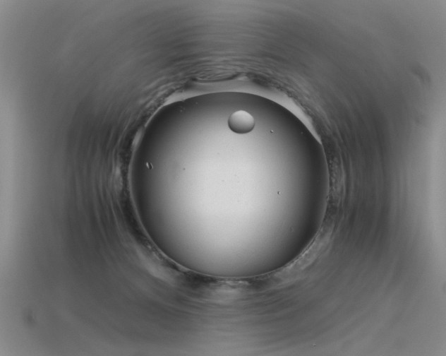 X0000115820128200911131452