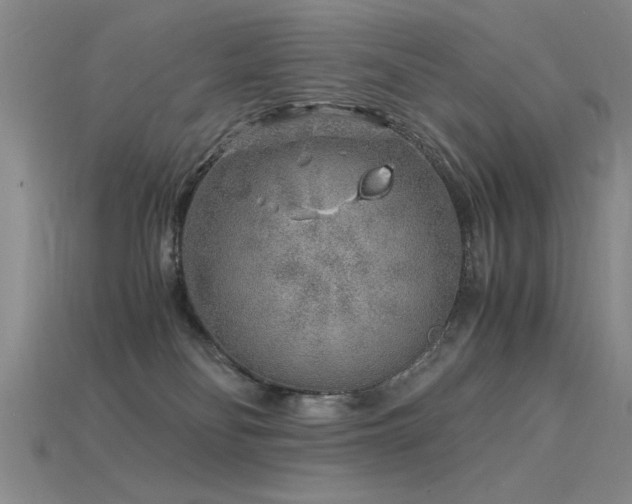 X0000115820134200911131452