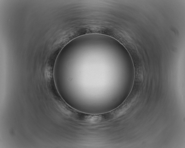 X0000115820135200911131452