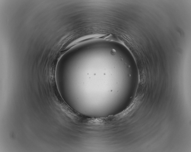 X0000115820140200911131452