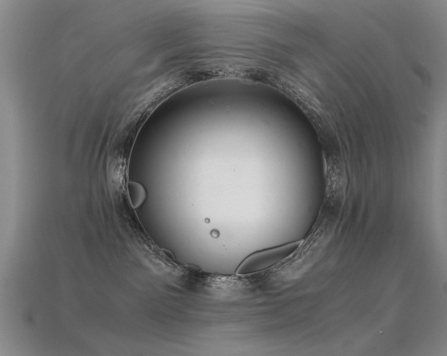 X0000115820141200911131452