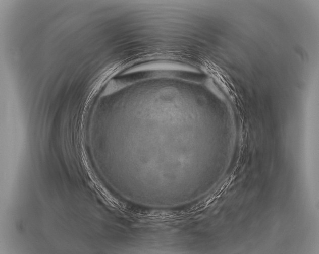 X0000115820145200911131451