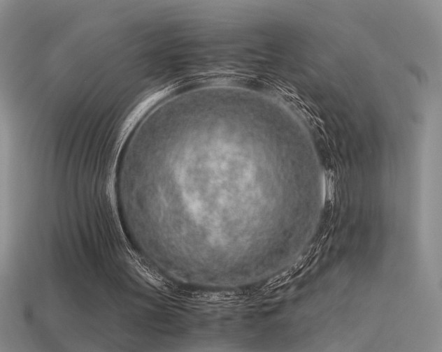 X0000115820147200911131451