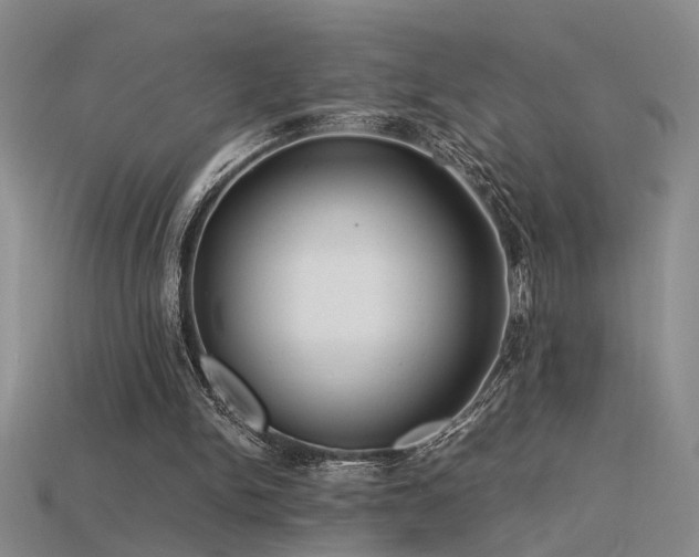 X0000115820150200911131451