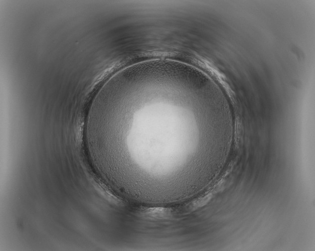 X0000115820153200911131451