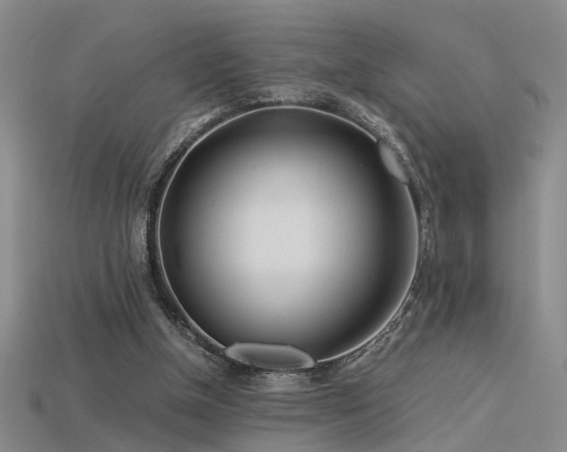 X0000115820154200911131451