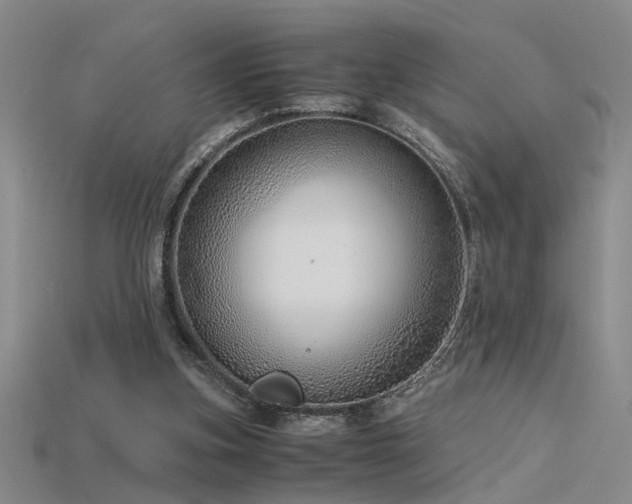 X0000115820155200911131451