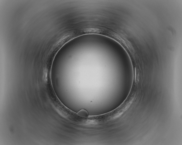 X0000115820157200911131451