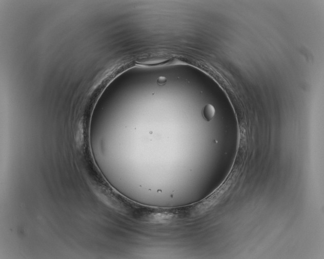 X0000115820158200911131451