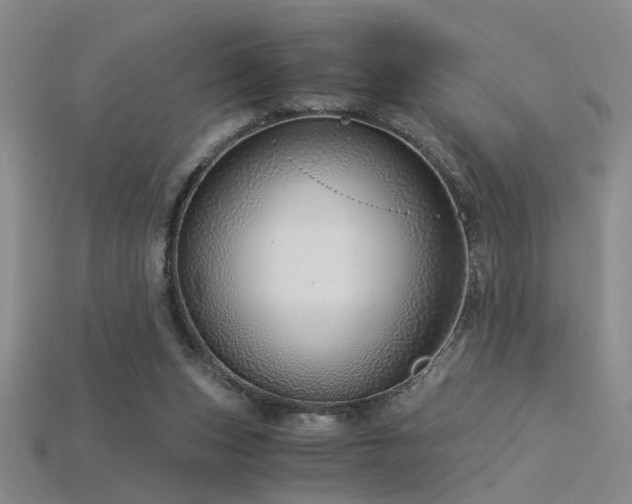 X0000115820159200911131451