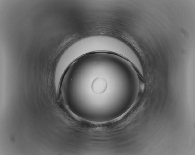 X0000115820161200911131451